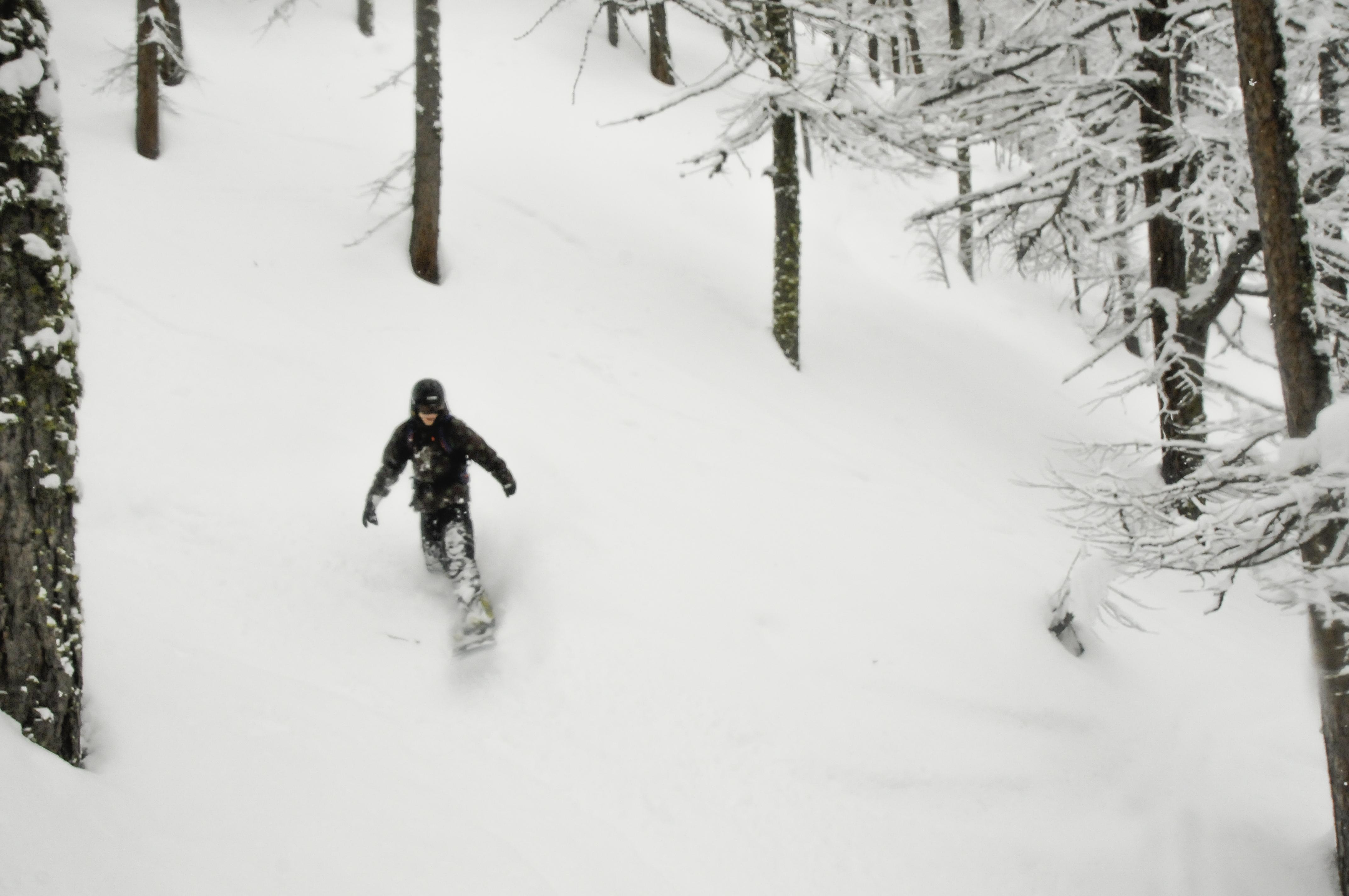 _dsc0108.jpg