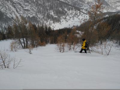 IMG_20180118_141034.jpg