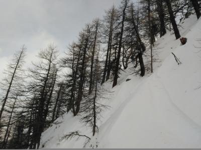 IMG_20180118_141305.jpg