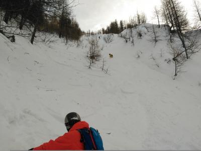 IMG_20180118_142529.jpg