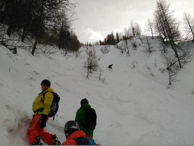 IMG_20180118_142605.jpg