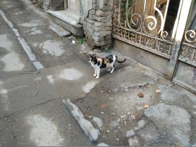 IMG_20180210_124505.jpg