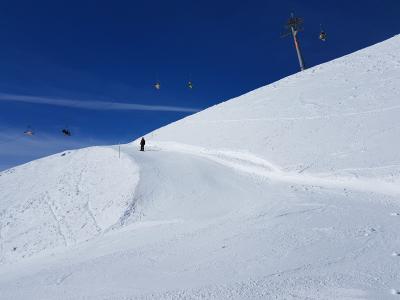 20180208_132645.3954925.jpg