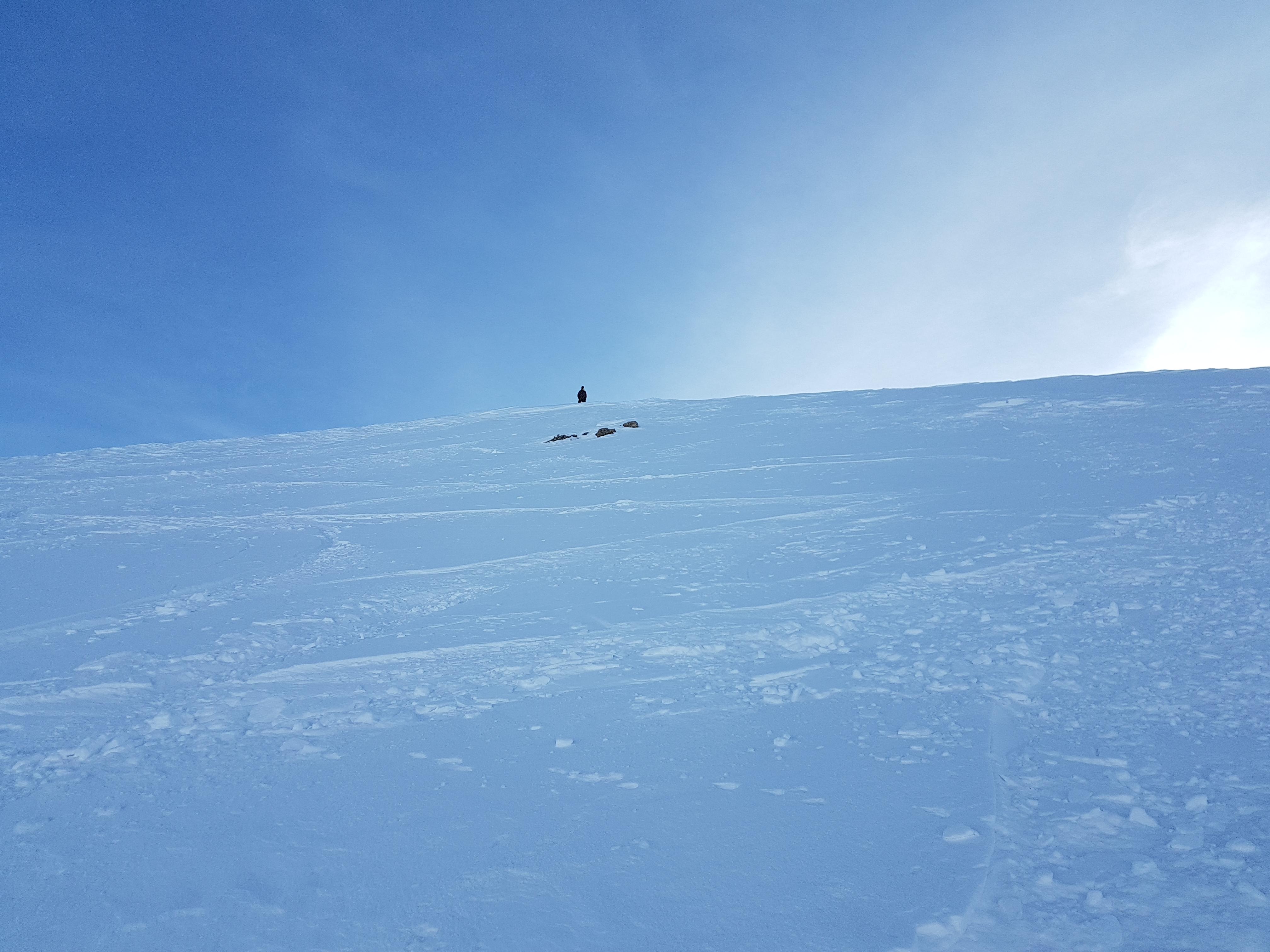 20180208_162226.f5c89a6.jpg
