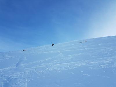 20180208_162239.f7bffb2.jpg