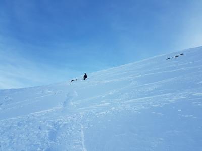 20180208_162243.ae9ee2b.jpg