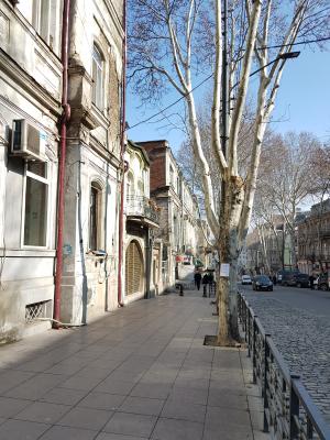20180210_122934.6b38bbb.jpg