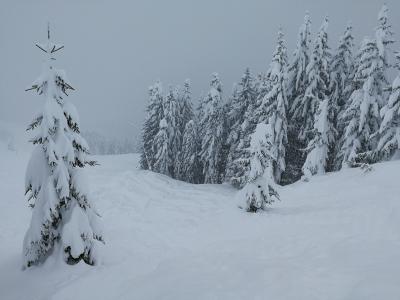 IMG_20190113_160612.jpg