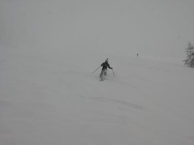 IMG_20190114_153312.jpg