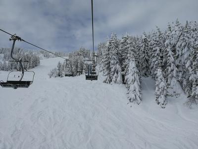 IMG_20190115_130137.jpg