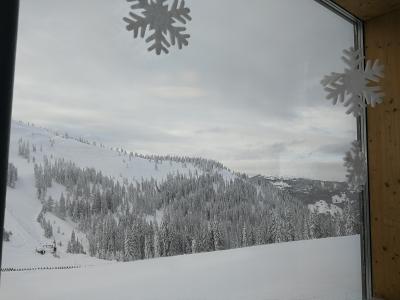 IMG_20190115_151231.jpg