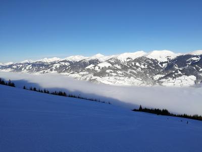 IMG_20190117_093714.jpg