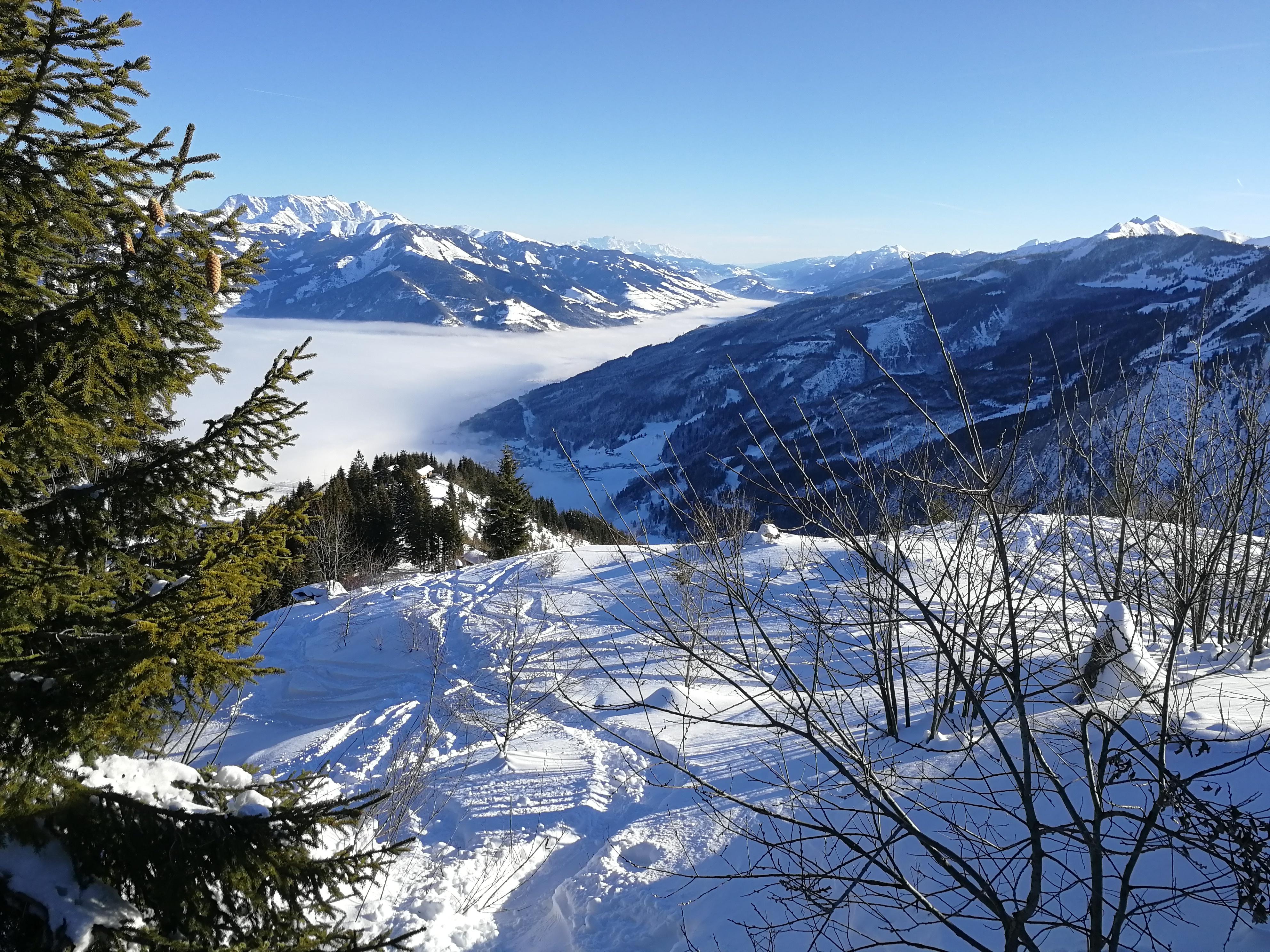 IMG_20190117_100931.jpg