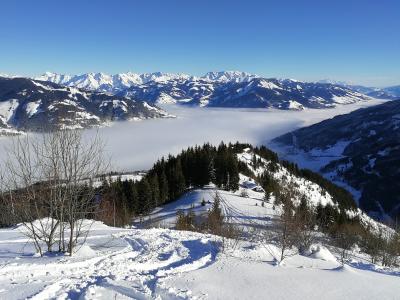 IMG_20190117_101037.jpg