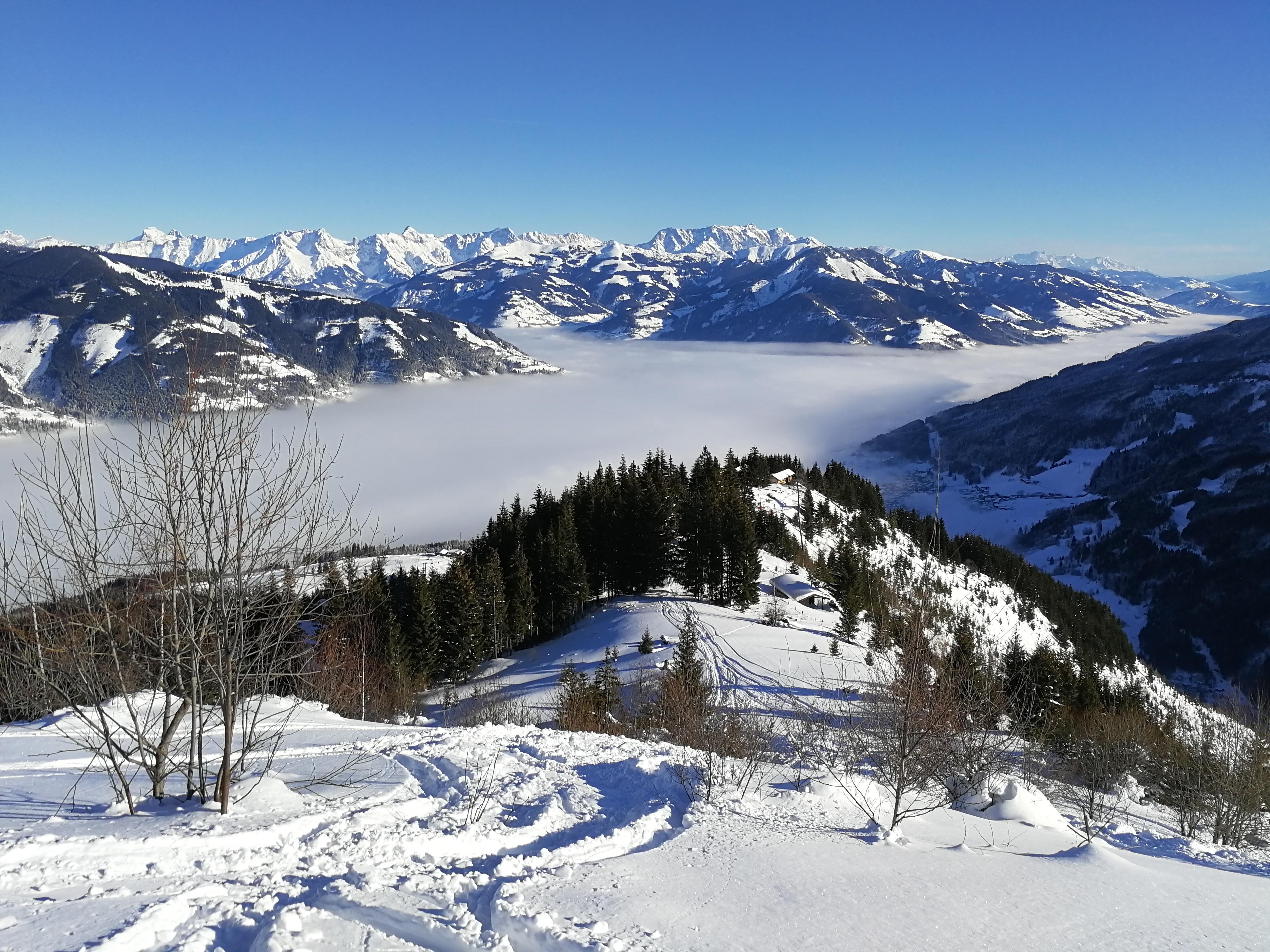 IMG_20190117_101037.jpg