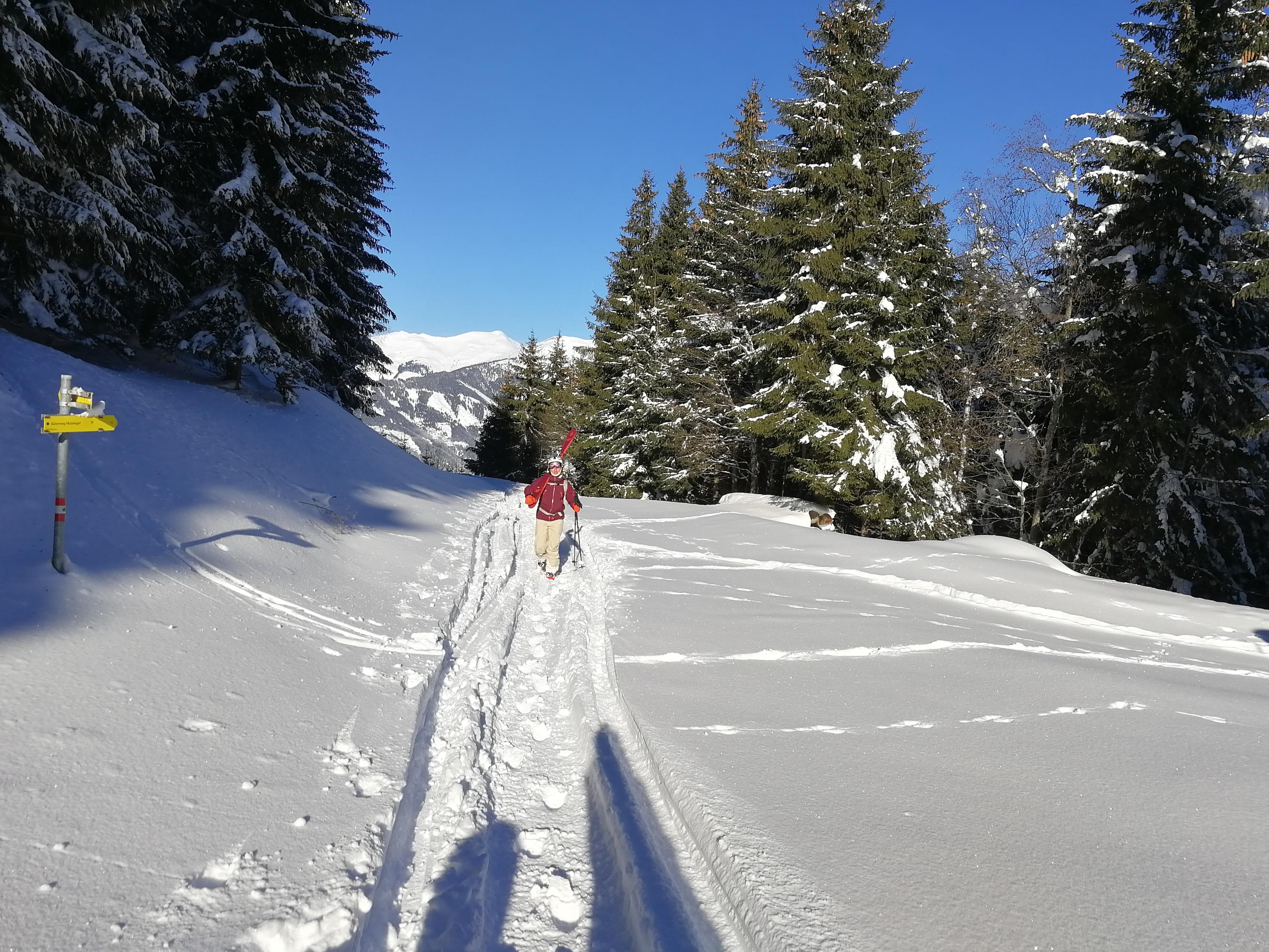 IMG_20190117_102821.jpg