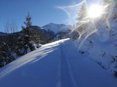 IMG_20190117_110808.jpg