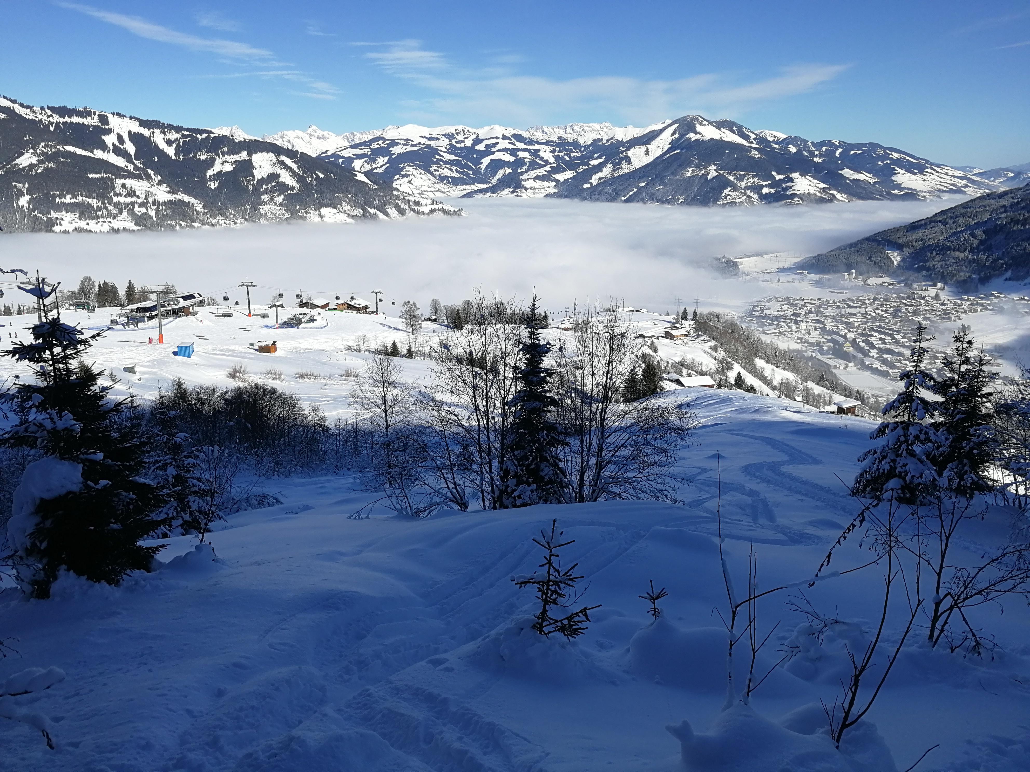 IMG_20190117_132355.jpg
