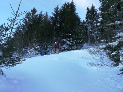 IMG_20190117_155248.jpg