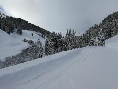 IMG_20190118_104911.jpg