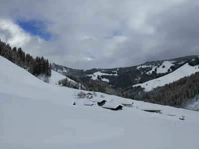 IMG_20190118_104915.jpg