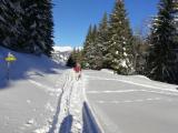 190112-190119-Zell.am.See