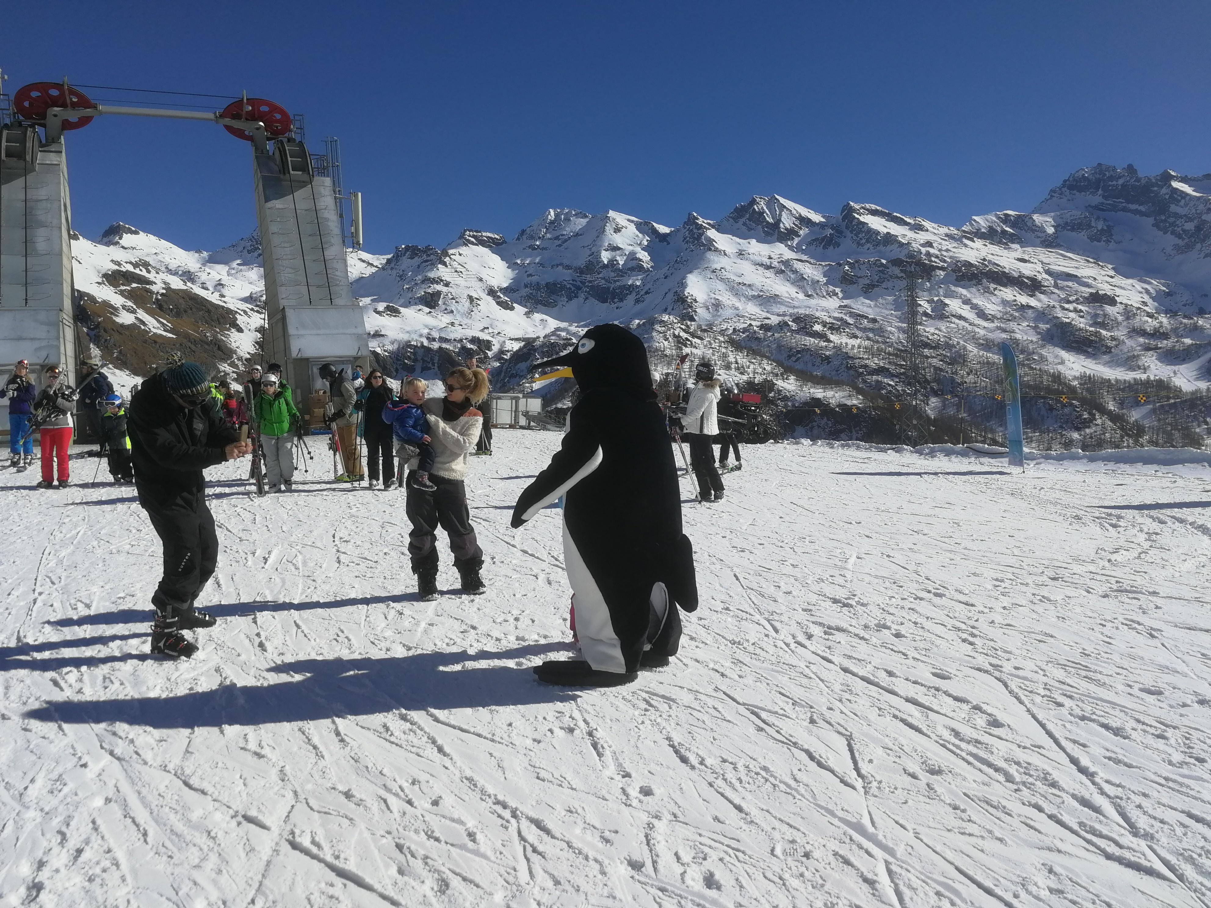 IMG_20190217_120639.jpg