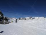 190219-Alagna