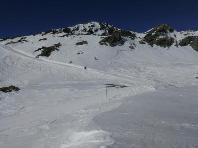 IMG_20190220_140724.jpg