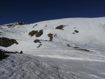 IMG_20190220_145337.jpg