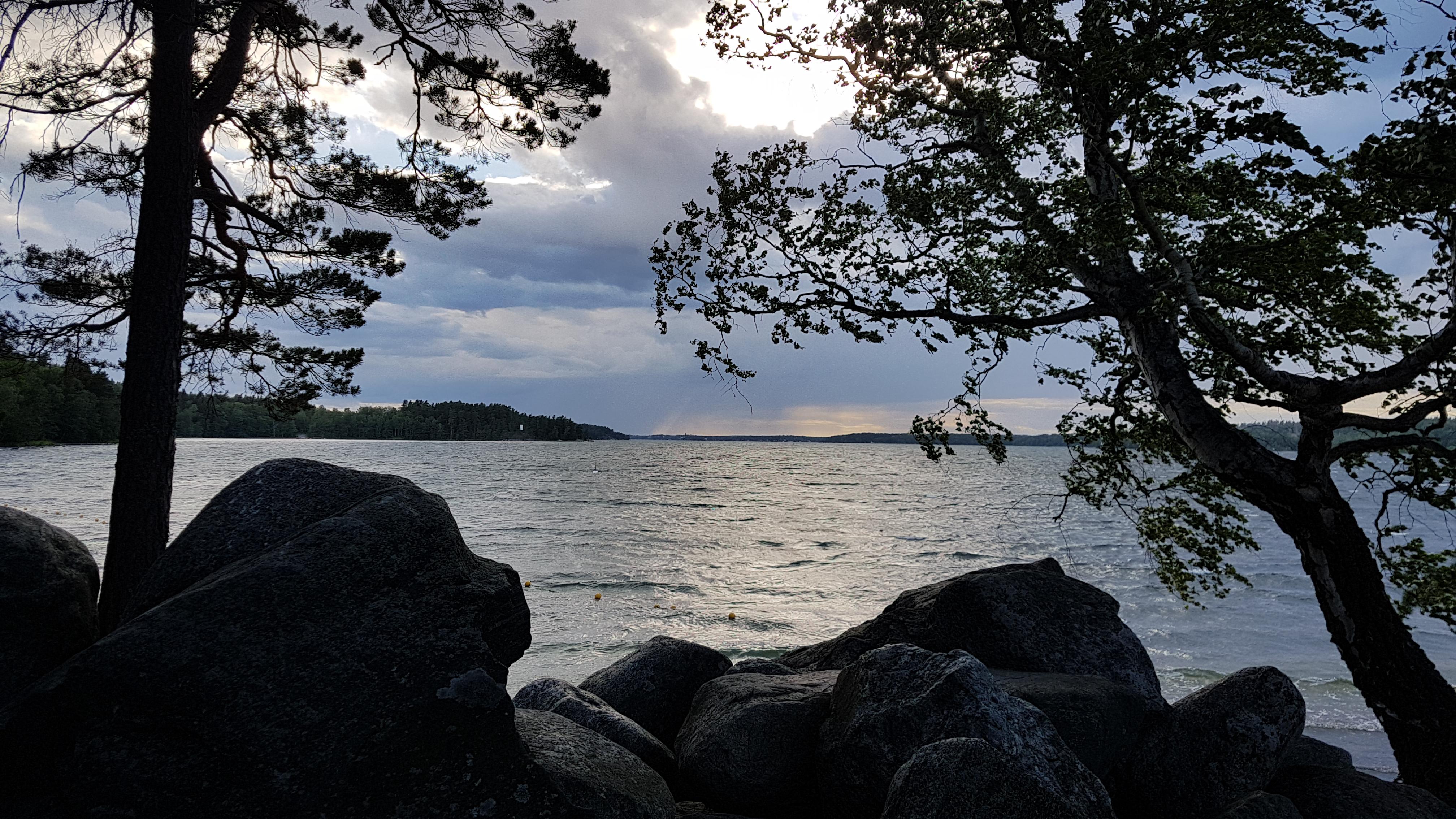 20190701_195646.7c5c285.jpg