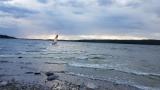 190701-Surf.Lidingö