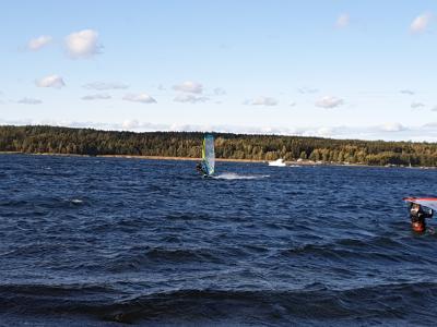 IMG_20191001_154350.jpg