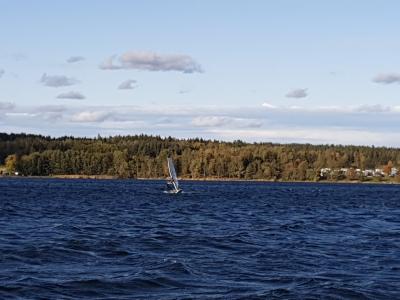 IMG_20191001_154415.jpg