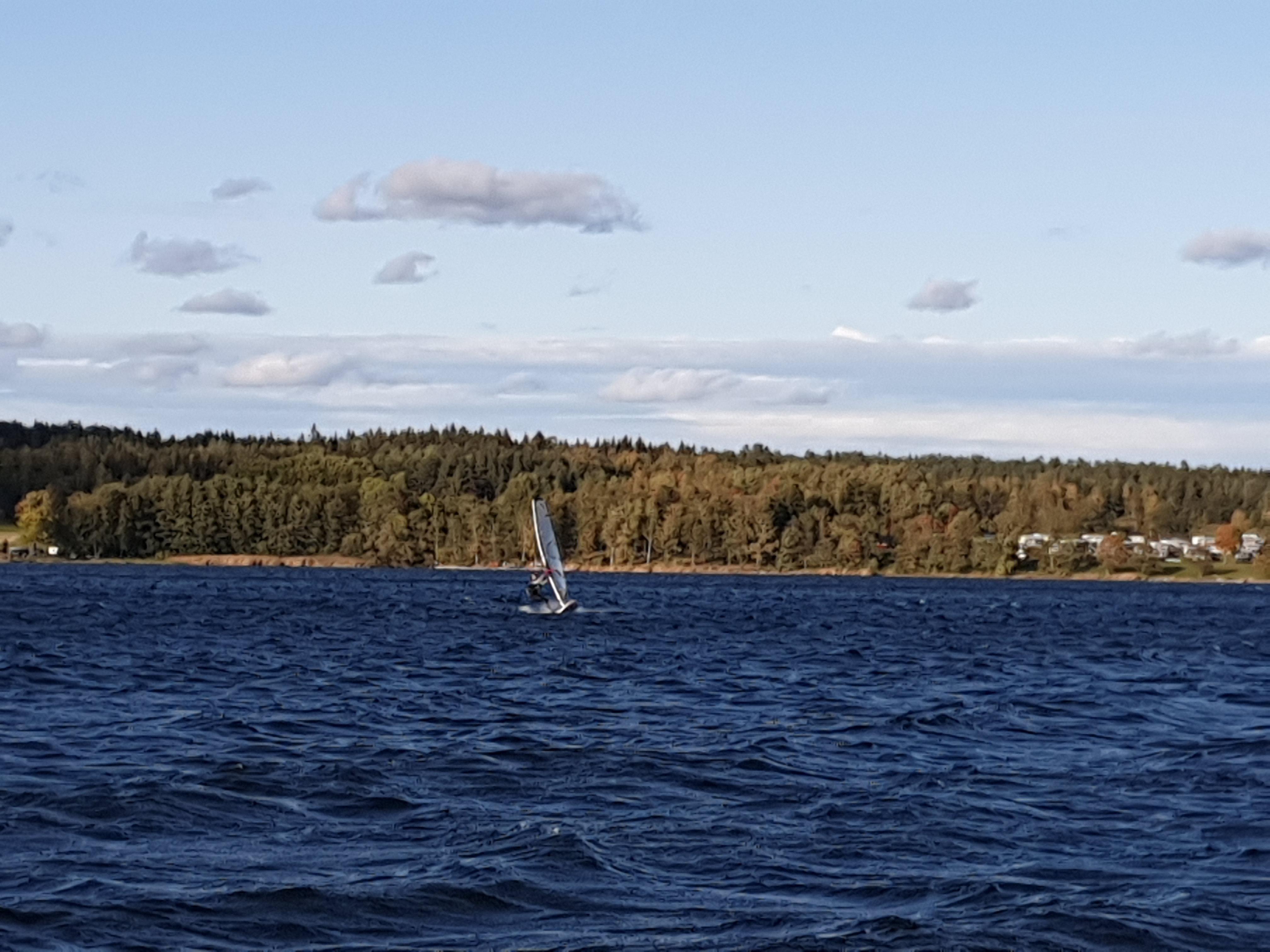 IMG_20191001_154415.jpg