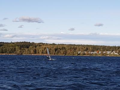 IMG_20191001_154418.jpg