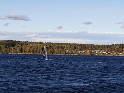 IMG_20191001_154419.jpg