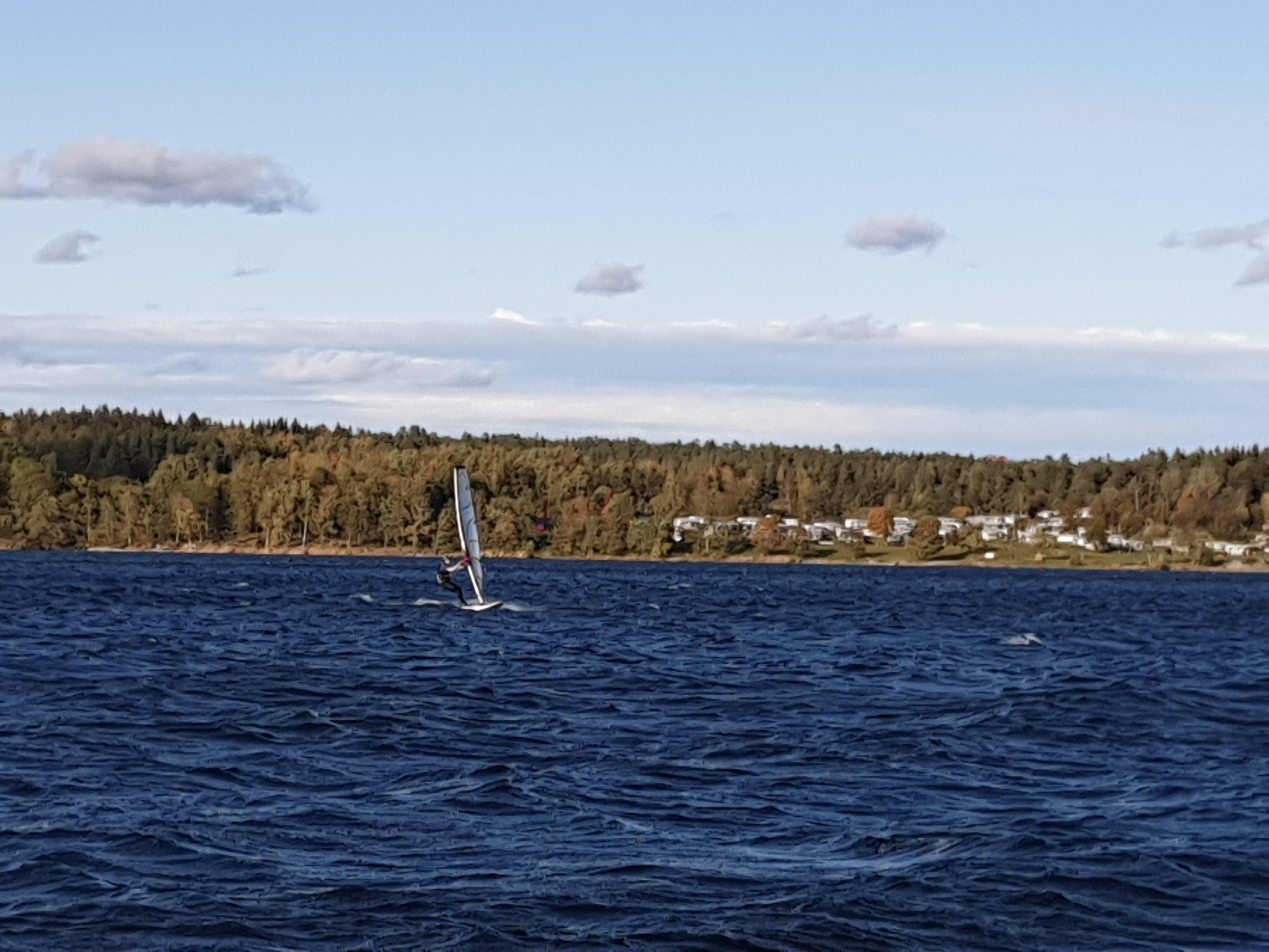 IMG_20191001_154419.jpg