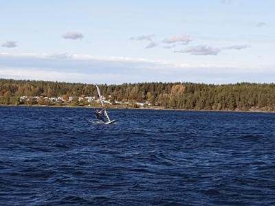 IMG_20191001_154424.jpg