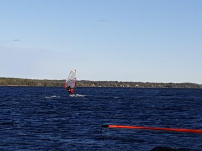 IMG_20191001_154601.jpg