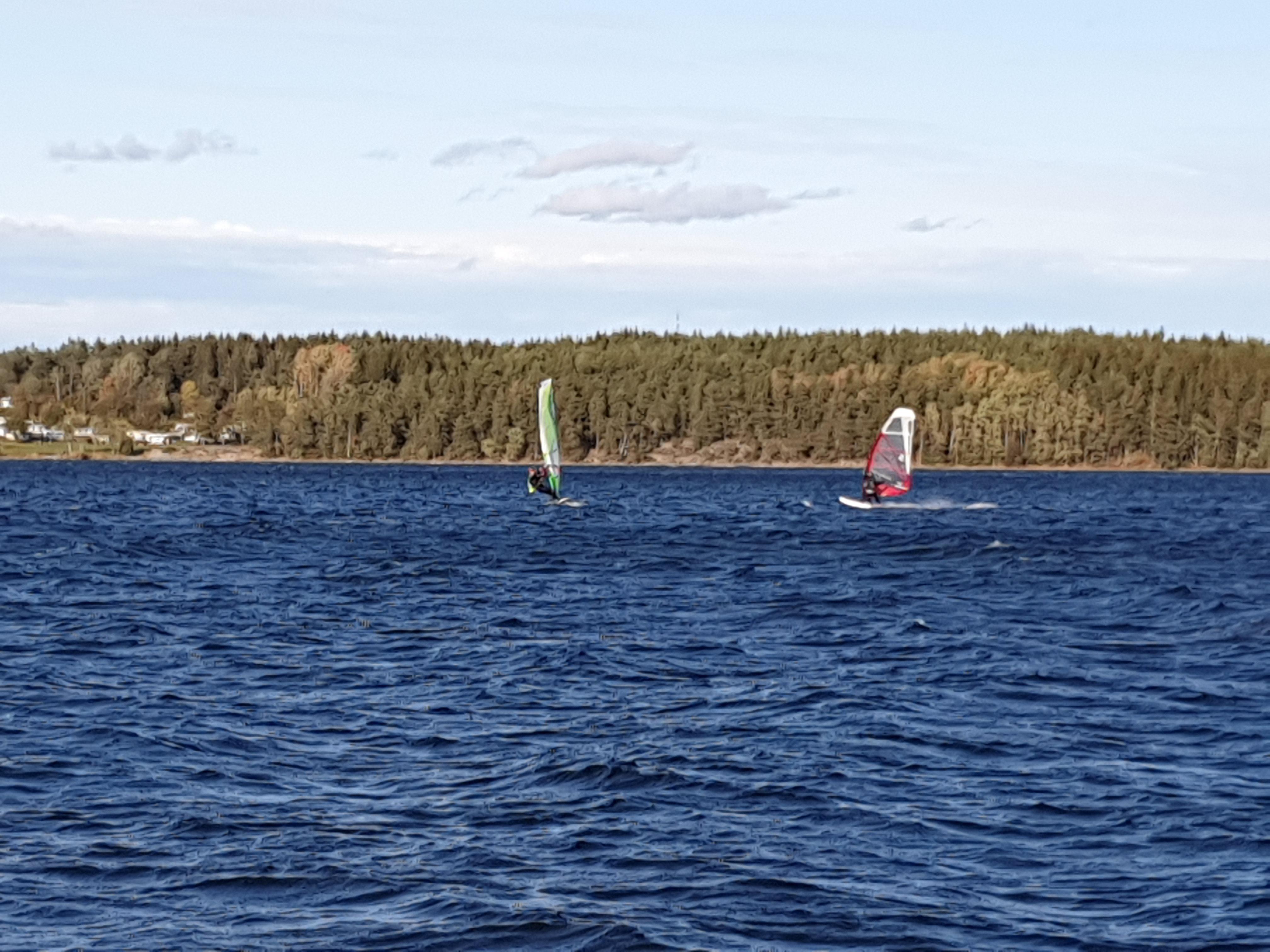 IMG_20191001_154620.jpg