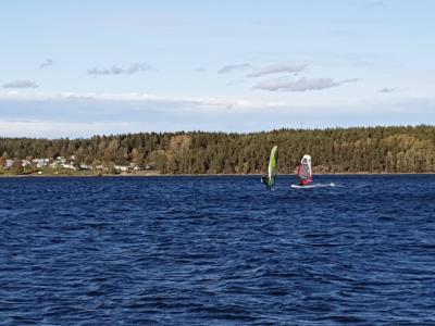 IMG_20191001_154621.jpg