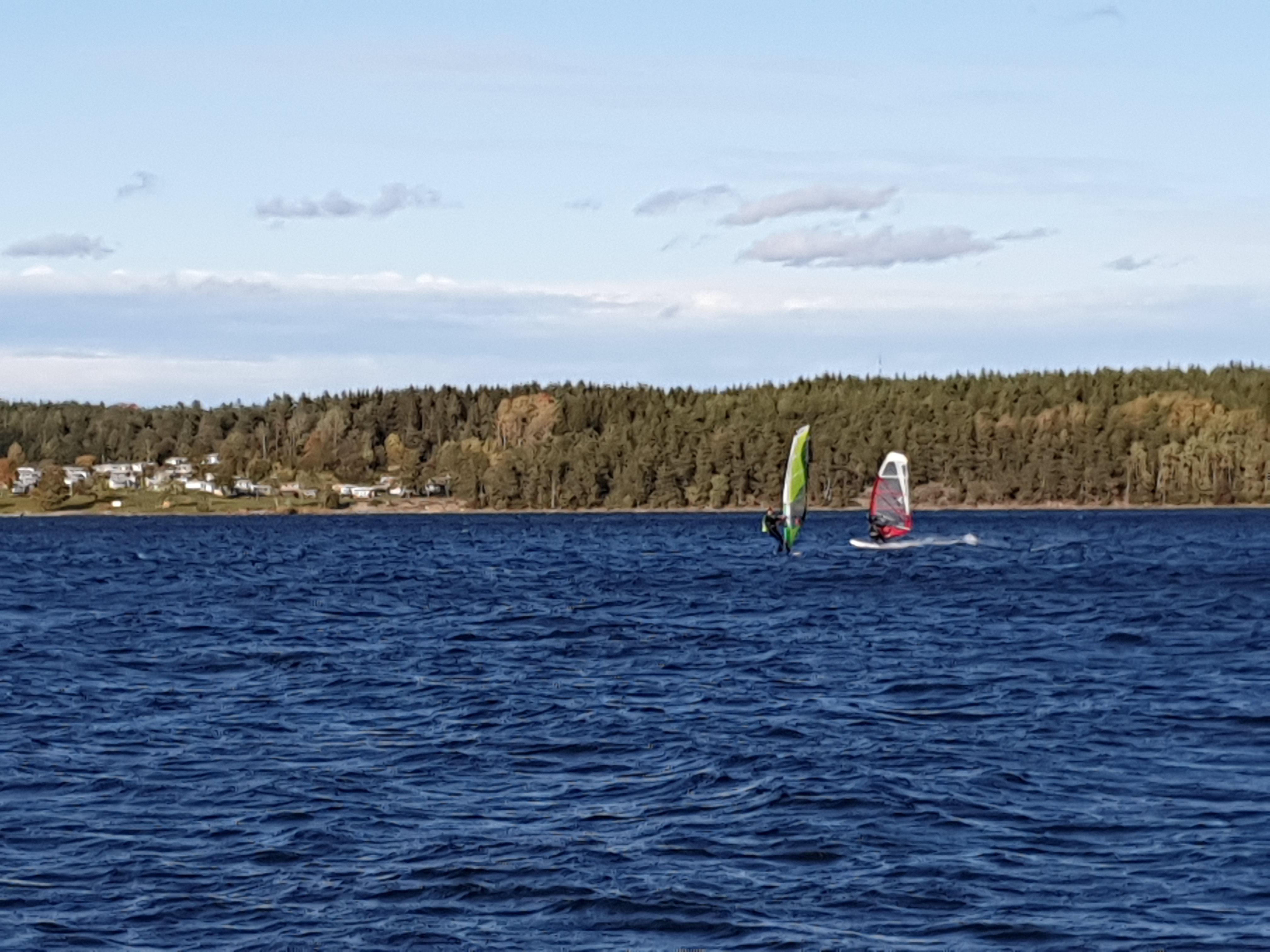 IMG_20191001_154621.jpg