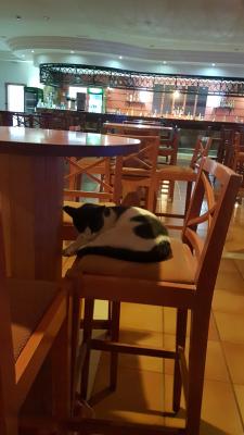 20191023_210903.07cf5d1.jpg