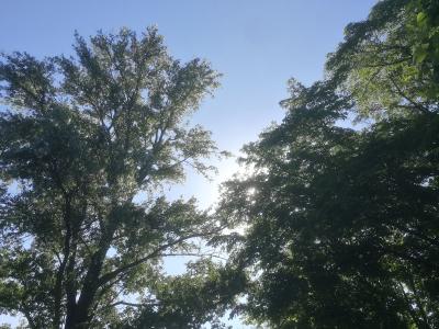 IMG_20200619_163750.jpg
