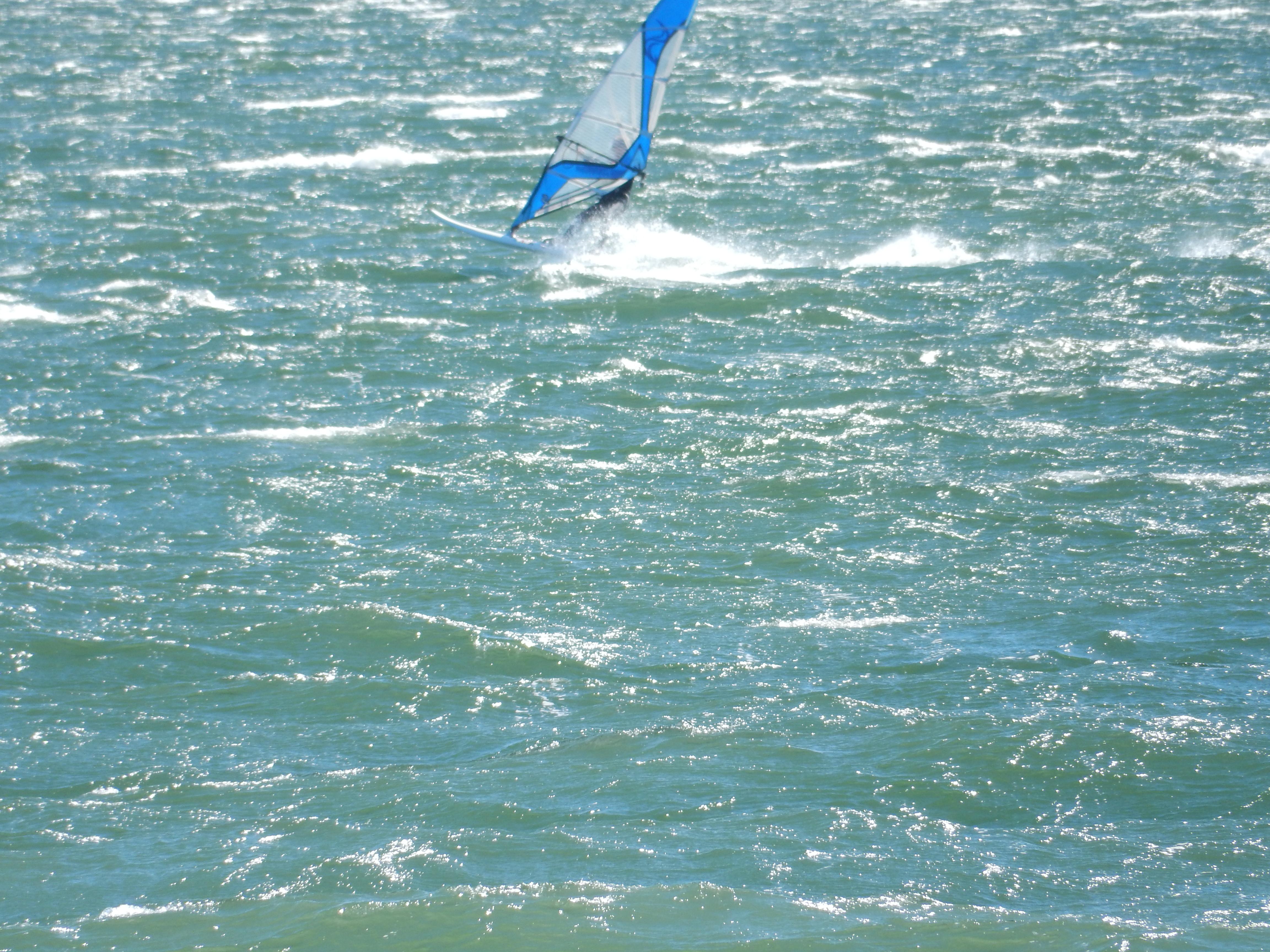 DSCN1196.JPG