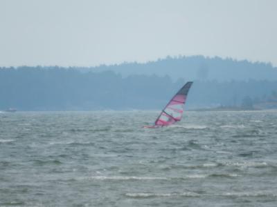DSCN1241.JPG