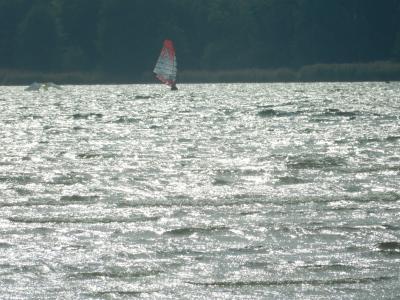 DSCN1249.JPG