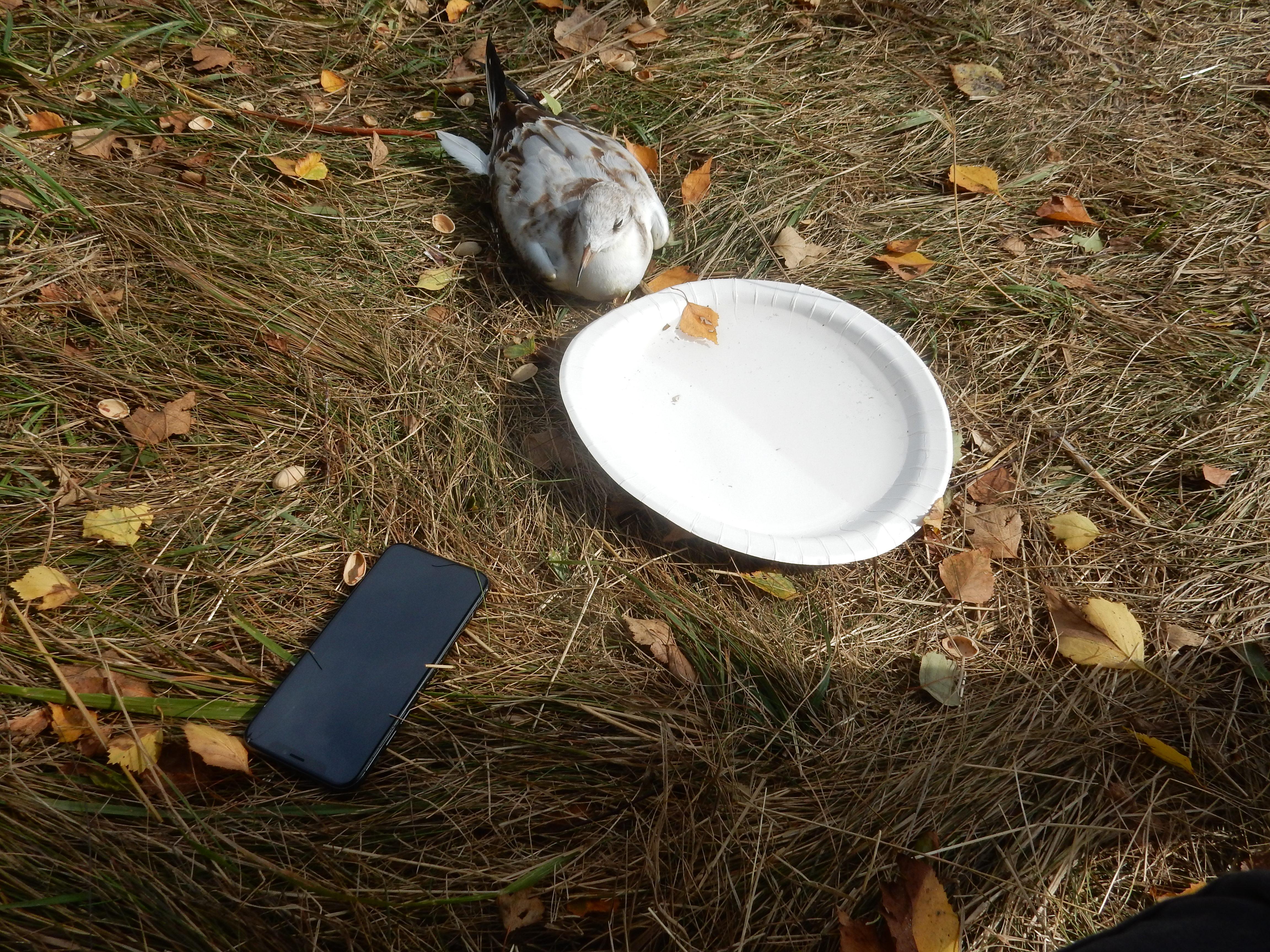 DSCN1251.JPG
