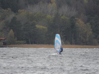 DSCN1317.JPG